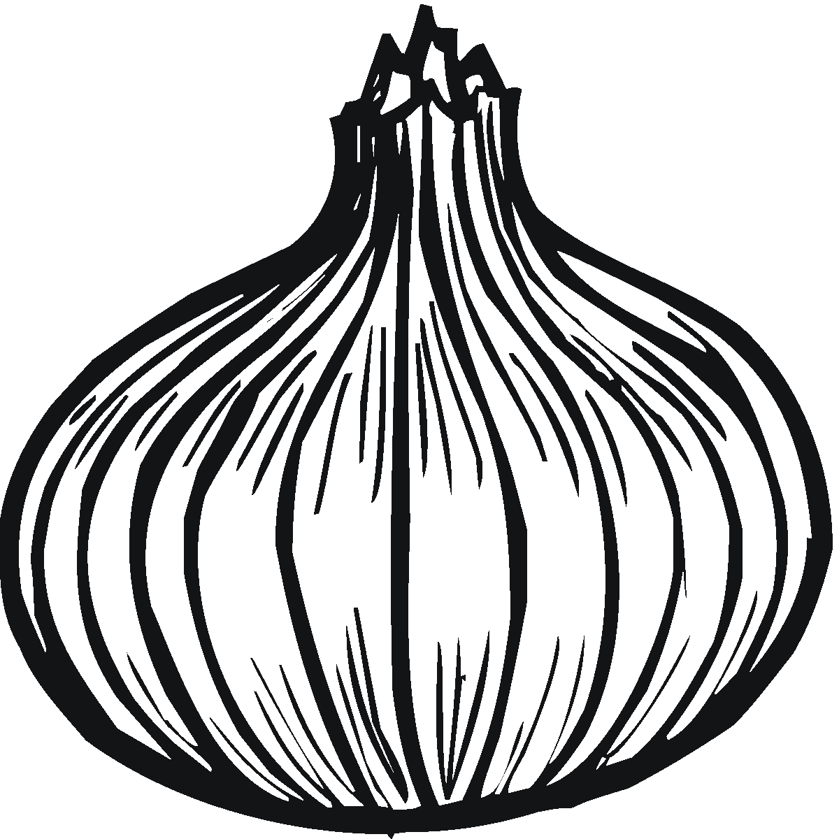 clipart of onion - photo #44